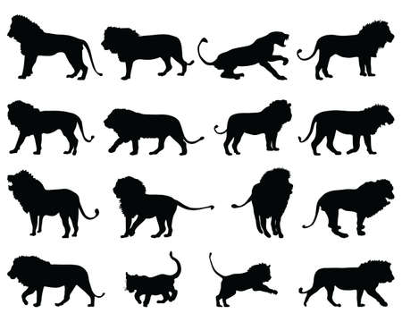 Black silhouettes of lions on a white backgroundのイラスト素材