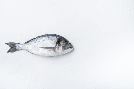 Raw sea bream or Gilt head bream dorada fish on white background, top view