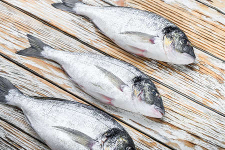 Set of raw dorado Sea bream fish over white wood table side viewの写真素材