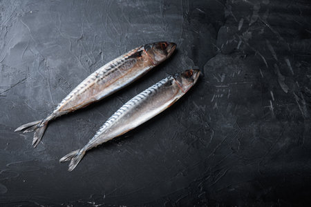 Two fresh mackerels on black textured background with space for text.の写真素材