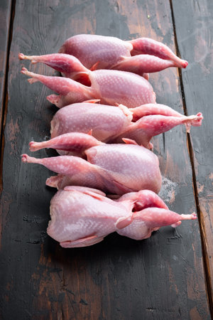 Fresh raw quail set, on dark wooden backgroundの写真素材