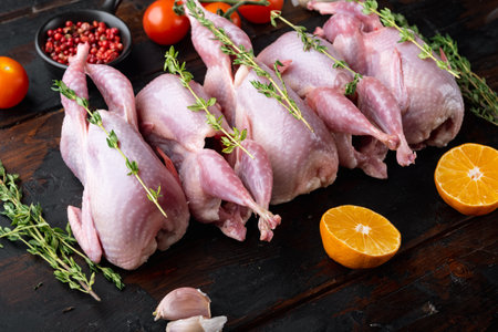 Homemade eco friendly raw quail, on dark wooden backgroundの写真素材