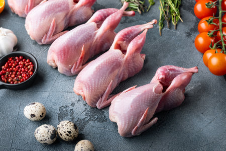 Whole quails meat with spices, herbs, vegetables, on gray backgroundの写真素材