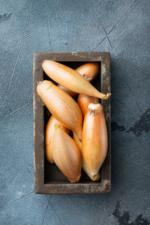Raw whole baby shallot onion, on gray background, top viewの写真素材