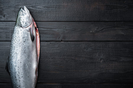 Fresh raw salmon red fish fillet on black wooden surface, flat lay with space for text.