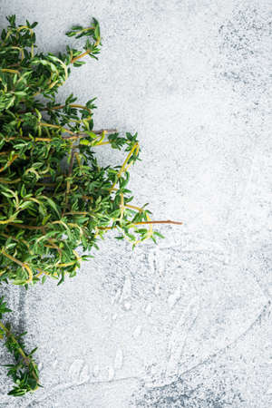 Thyme green fresh bunch, on gray background, top view with copy space for textの写真素材