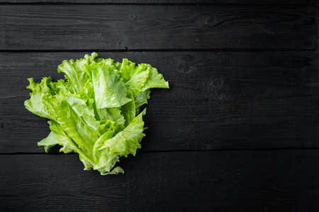 Fesh green lettuce salad organic leaves, on black wooden table with copy space for textの写真素材