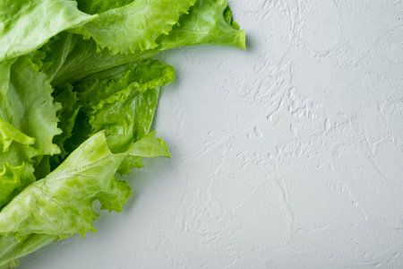 Fesh green lettuce salad organic leaves, on white background with copy space for textの写真素材