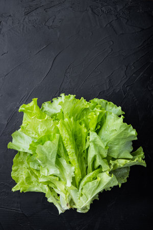 Fesh green lettuce salad organic leaves, on black background with copy space for textの写真素材