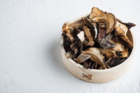 Boletus wild dried mushrooms set, on white background, with space for text copyspaceの写真素材