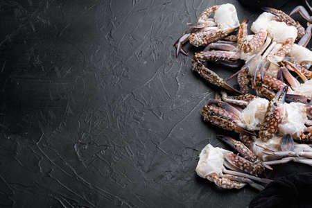 Fresh blue swimming crab meat set, on black background, with copyspace and space for textの写真素材
