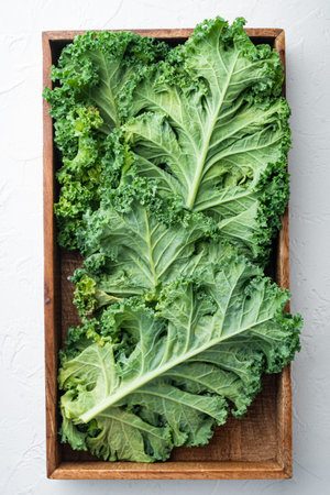 Green kale salad leaf set, in wooden box, on white background, top view flat layの写真素材