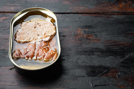 Canned Smoked Trout Fillets set, in tin can, on old dark wooden table background, with copyspace and space for textの写真素材