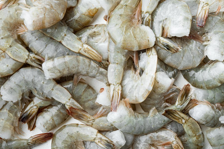 Healthy organic tiger shrimps set, on white stone surface, top view flat layの写真素材