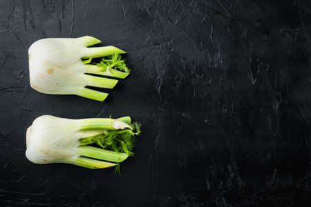 Fennel roots, on black textured background, flat lay with space for textの写真素材