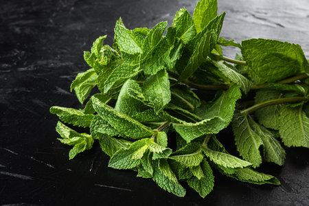 Fresh garden mint or peppermint set, on black stone background