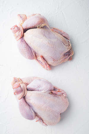 Fresh raw whole chicken carcass, on white background, top viewの写真素材