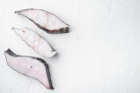 Frozen fish cut set, on white stone table background, top view flat lay, with copy space for text