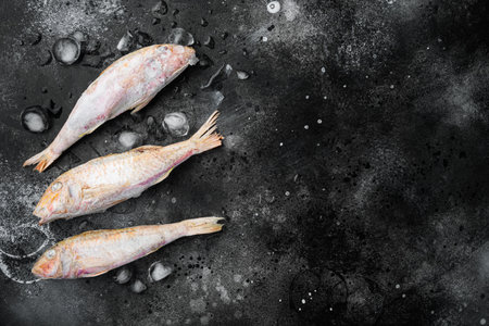 Frozen Goatfish raw fish set, on black dark stone table background, top view flat lay, with copy space for textの写真素材