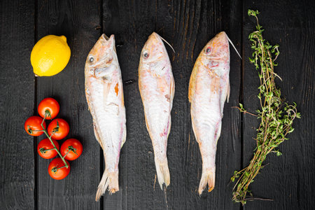 Raw surmullet whole seafood fish set, with ingredients and herbs, on black wooden table background,...