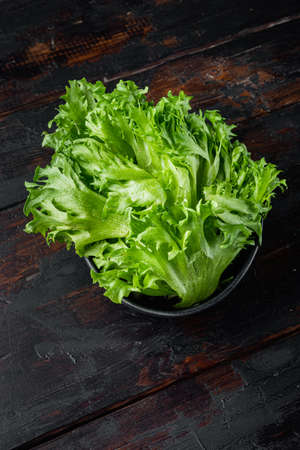 Raw organic green oak lettuce leaves, on old dark wooden table backgroundの写真素材