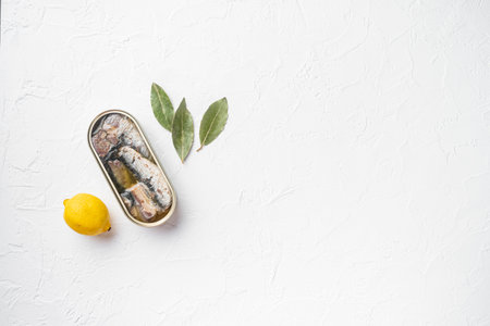 Tin can of seafood sardines fish set, on white stone table background, top view flat lay, with copy...