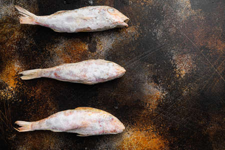 Frozen Goatfish raw fish set, on old dark rustic table background, top view flat lay, with copy space for textの写真素材