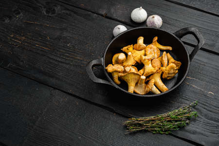 Chanterelle mushrooms set, in cast iron frying pan, with copy space for textの写真素材
