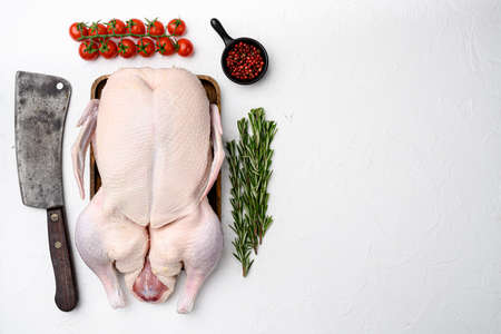 Fresh raw whole duck ready for cooking set with herbs, on white stone table background, top view flat lay, with copy space for textの写真素材