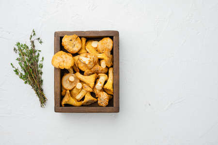 Raw wild chanterelles mushrooms set, in wooden box container, on white stone table background, top view flat lay, with copy space for textの写真素材