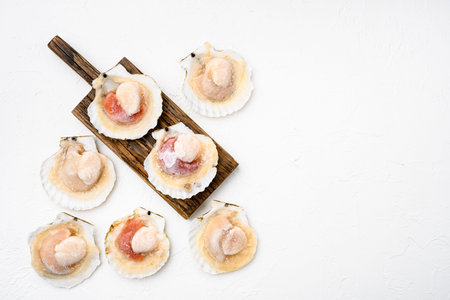 Frozen scallops set, on white stone table background, with copy space for text