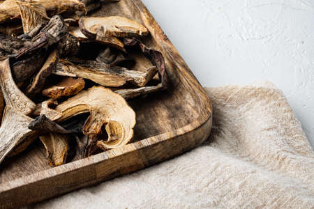 Set of dried mushrooms set, on white background, with space for text copyspaceの写真素材