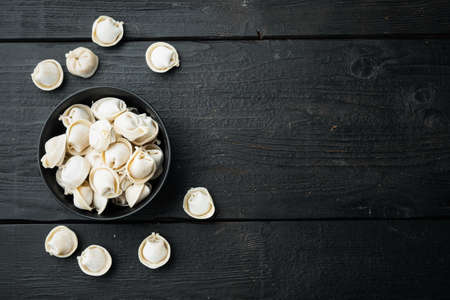 Frozen tortellini set in black bowl, on black wooden table background, top view flat lay , with copyspace and space for textの写真素材