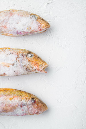 Frozen Goatfish raw fish set, on white stone table background, top view flat lay , with copy space...