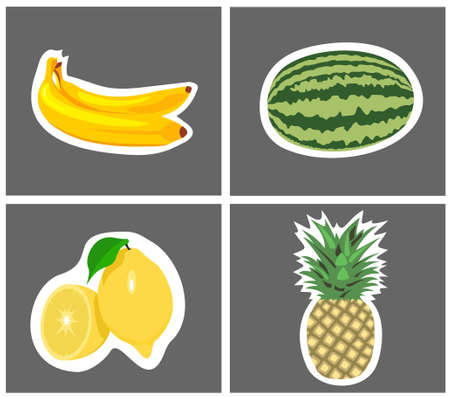 four species of fruit with background, のイラスト素材
