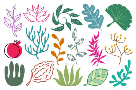 Plant vector design elements, decorative illustrations set. Colorful abstract plants, branches and leaves isolated on a white background.のイラスト素材