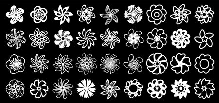 White flower icons on a black background, line art decorative design elements, floral illustrations collection.のイラスト素材