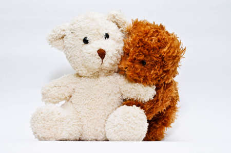 Teddy Bears in loveの写真素材