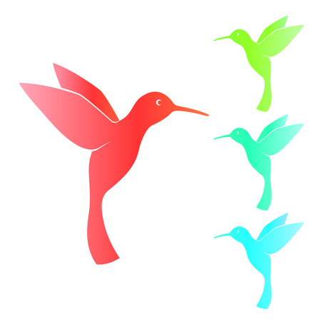 Colibri, hummingbird, isolated on white, vector illustrationのイラスト素材