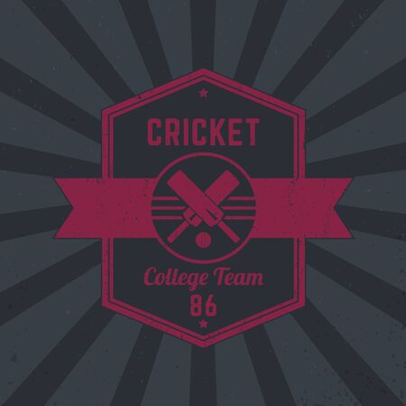 Cricket team vintage logo, badge, tetragonal emblemのイラスト素材