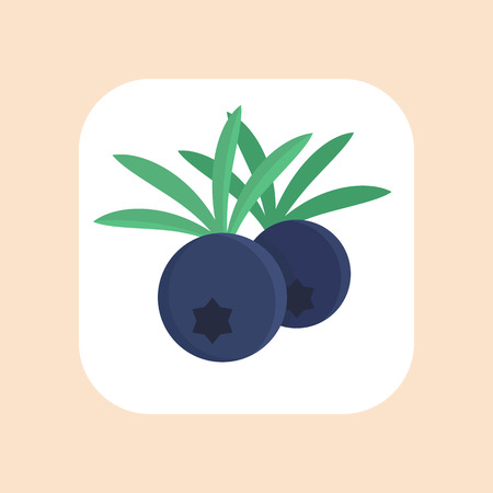 juniper berries icon in flat style on whiteのイラスト素材