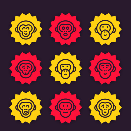 Apes, monkey, chimps vector line iconsのイラスト素材