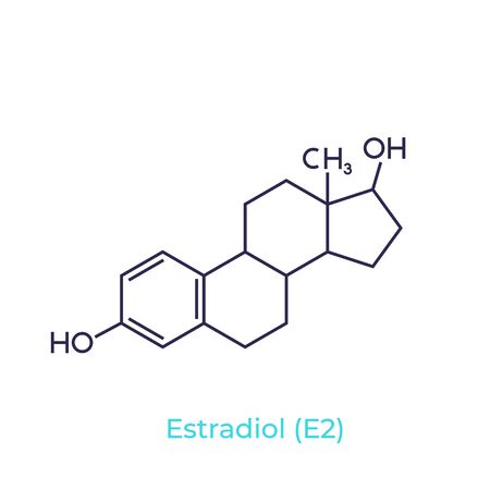 Estradiol molecule on white, vectorのイラスト素材