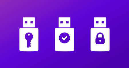 usb stick key vector iconsのイラスト素材
