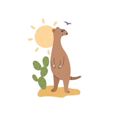 meerkat standing near a cactus vector illustrationのイラスト素材