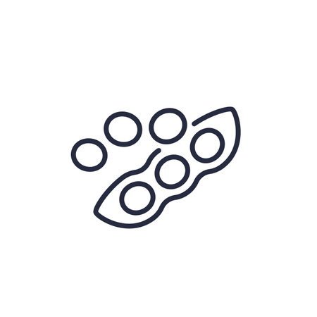 soybeans line icon on white, soy beans vectorのイラスト素材