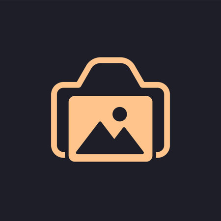 camera and photo icon, vector pictogramのイラスト素材