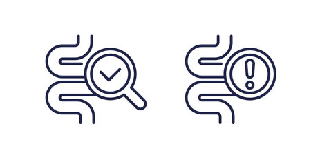 bowel exam line icons on whiteのイラスト素材