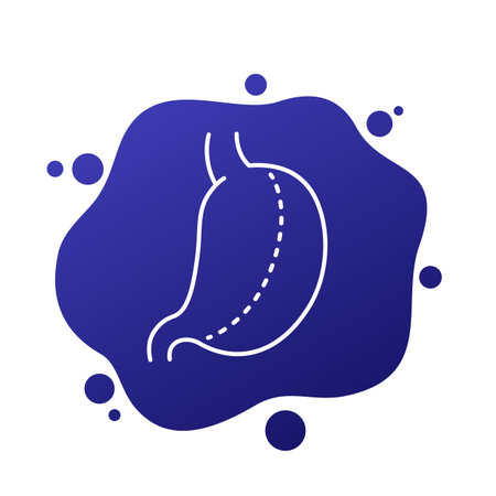 gastric sleeve line icon, vectorのイラスト素材