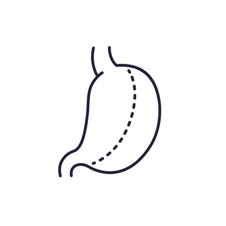 gastric sleeve, gastrectomy line iconのイラスト素材